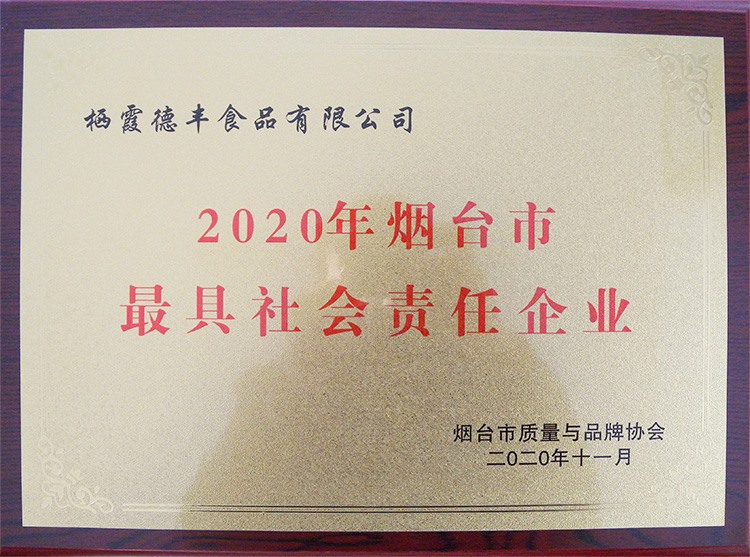 2020年煙臺(tái)市最具社會(huì)責(zé)任企業(yè)