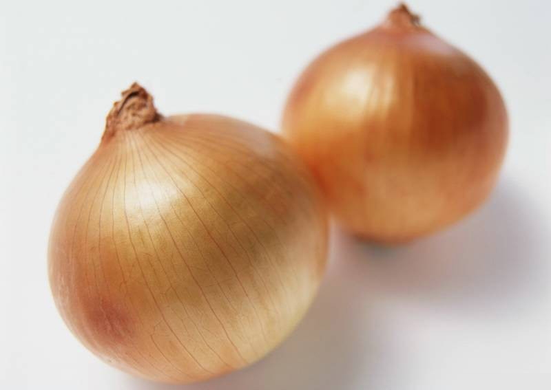 Onion